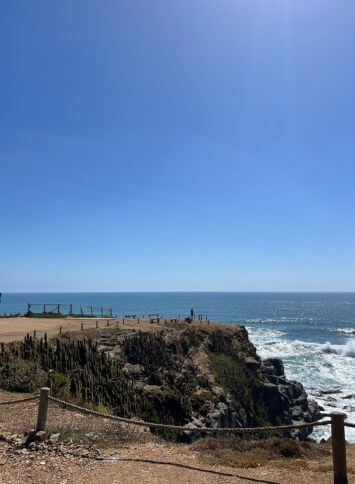 Punta De Lobos